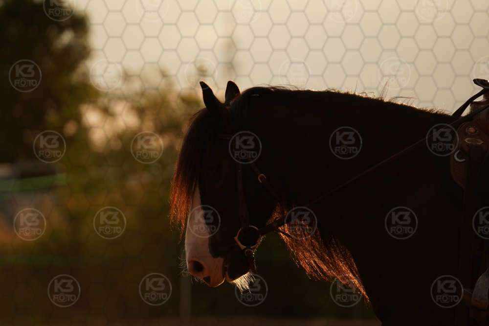 s_A9_03171.jpg